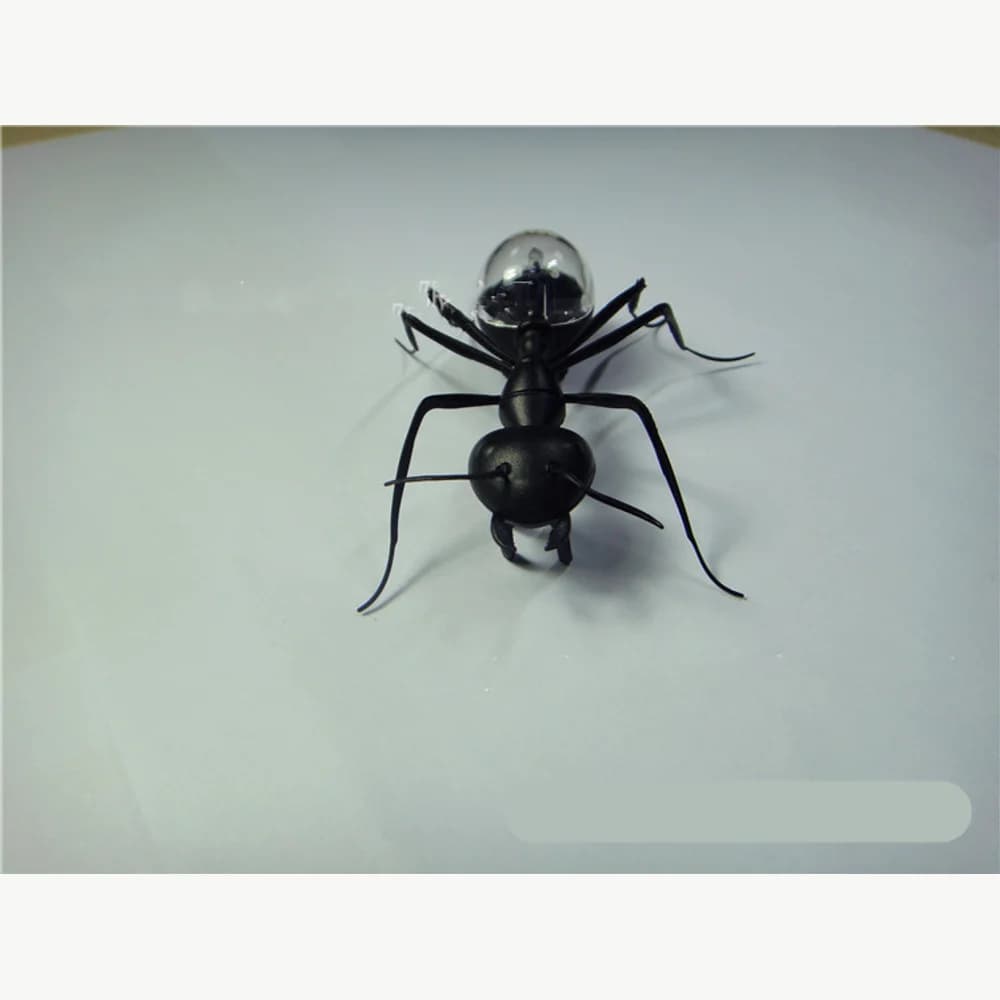 Solar-powered ant model