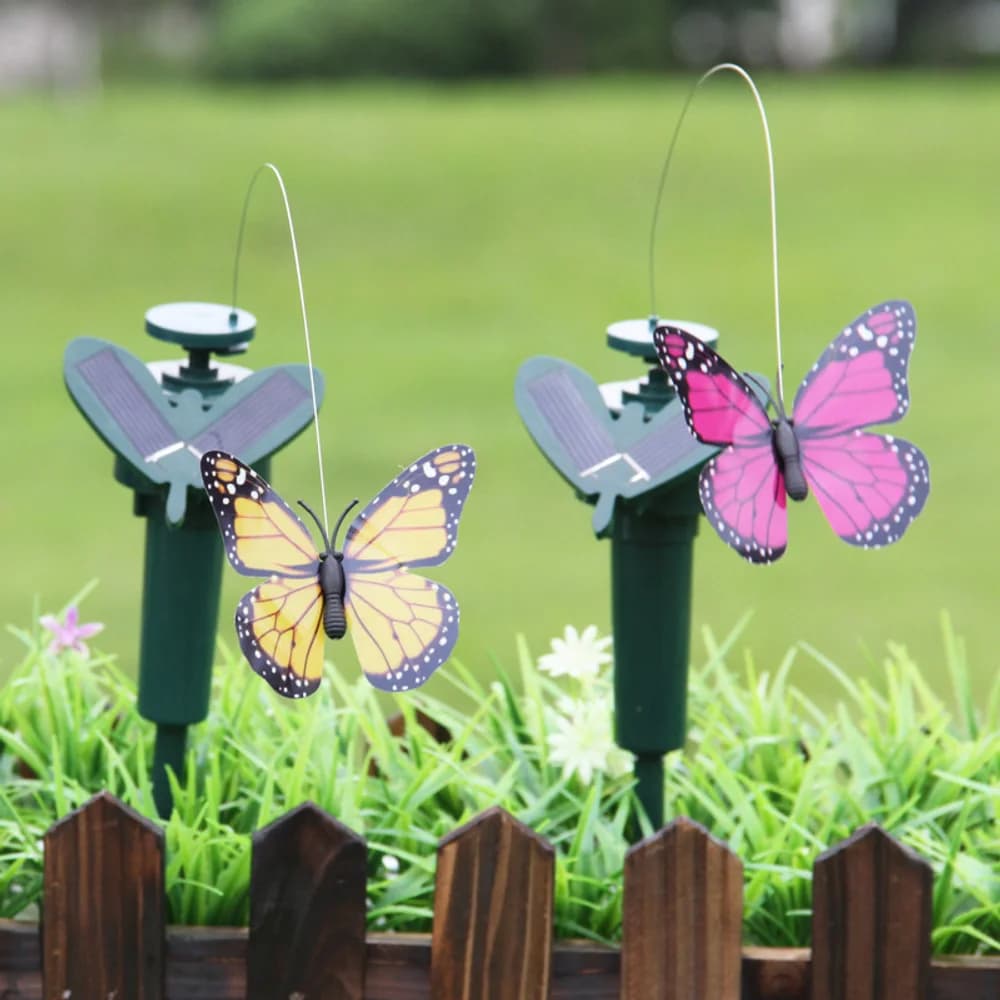 Solar butterfly model
