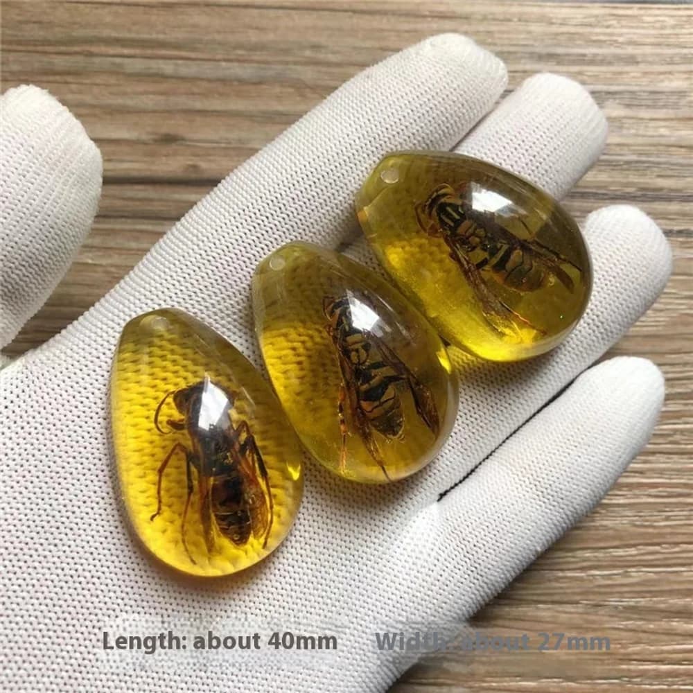 Insect amber excavation box