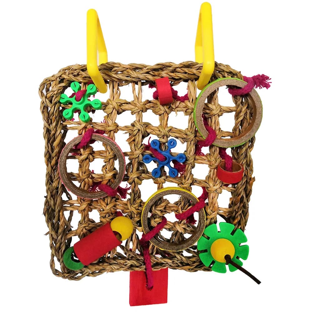Parrot colour building blocks