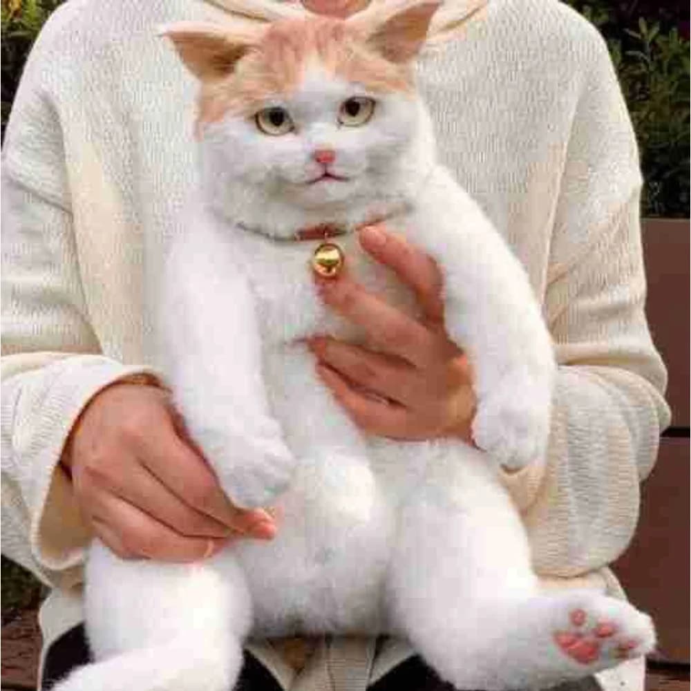 Lifelike kitten plush doll